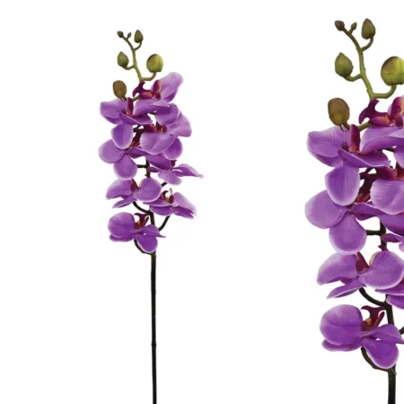 ΚΛΑΔΙ ΦΑΝΕΛΟΨ ΜΩΒ Υ76cm.12/144KIB - Κασπω