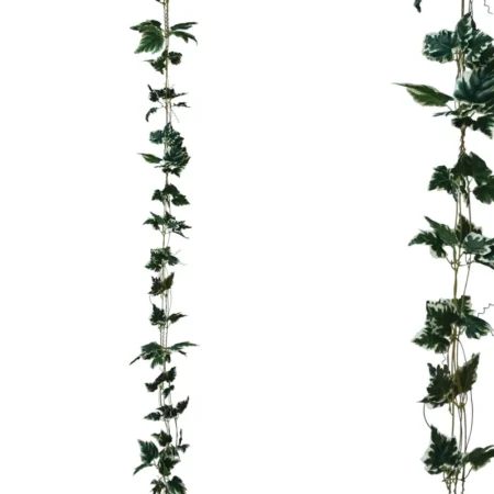 ΓΙΡΛΑΝΤΑ ΔΙΧΡΩΜΟ ΠΡΑΣΙΝΟ ΚΙΣΣΟΣ Χ3 - Υ270cm 1/132ΚΙΒ - Κασπω