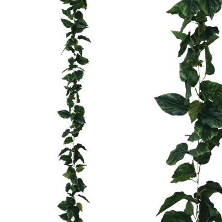 ΓΙΡΛΑΝΤΑ ΠΟΘΟΣ ΠΡΑΣΙΝΟ - Y270cm 1/96ΚΙΒ - Κασπω