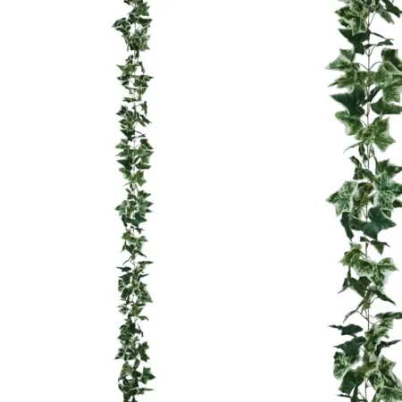 ΓΙΡΛΑΝΤΑ ΚΙΣΣΟΣ ΔΙΧΡΩΜΟΣ Υ270cm 1/96ΚΙΒ - Κασπω