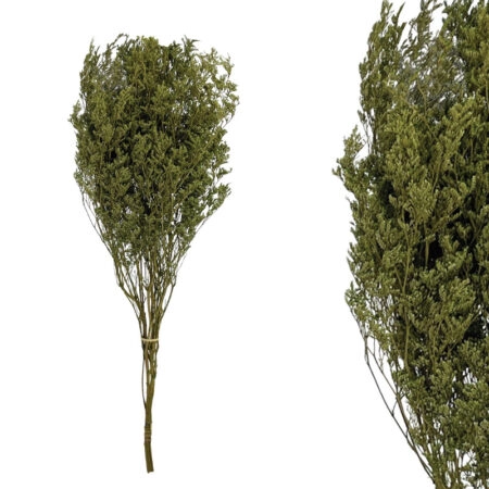ΚΛΑΔΙ ΠΡΑΣΙΝΟ ΛΕΙΜΩΝΙΟ ΑΠΟΞΗΡΑΜΕΝΟ 3~5 ΤΜΧ/ΜΑΤΣΟ Υ80~90cm, Υ50~60cm ΤΟ ΑΝΘΟΣ,  100/ΚΙΒ - Κασπω