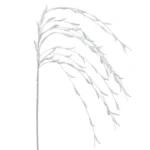 FOAM ΙΤΙΑ ΛΕΥΚΟ Y120cm. 36/360ΚΙΒ