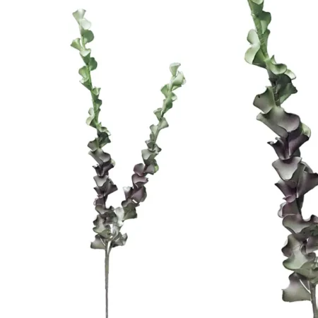 FOAM ΠΡΑΣΙΝΟ/ΜΩΒ  ΔΕΛΦΙΝΙ Χ2 Υ107cm 6/72KIB - Κασπω