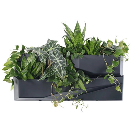 ΖΑΡΝΤΙΝΙΕΡΑ Χ2 ΕΠΙΤΟΙΧΗ ΑΝΘΡΑΚΙ CASCADE GARDEN WALL 78x19x35cm - Κασπω Sticky 1
