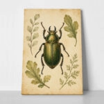 Πίνακας σε Καμβά VINTAGE DARK ACADEMIA BEETLE