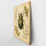 Πίνακας σε Καμβά VINTAGE DARK ACADEMIA BEETLE