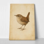Πίνακας σε Καμβά VINTAGE DARK ACADEMIA BIRD 10
