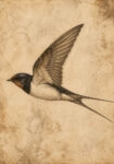 Πίνακας σε Καμβά VINTAGE DARK ACADEMIA BIRD 5