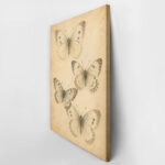 Πίνακας σε Καμβά VINTAGE DARK ACADEMIA BUTTERFLIES 2