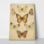 Πίνακας σε Καμβά VINTAGE DARK ACADEMIA BUTTERFLIES 3