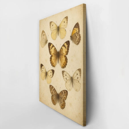 Πίνακας σε Καμβά VINTAGE DARK ACADEMIA BUTTERFLIES 3 -  Sticky 2
