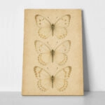 Πίνακας σε Καμβά VINTAGE DARK ACADEMIA BUTTERFLIES 4