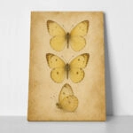 Πίνακας σε Καμβά VINTAGE DARK ACADEMIA BUTTERFLIES 5