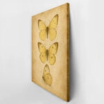 Πίνακας σε Καμβά VINTAGE DARK ACADEMIA BUTTERFLIES 5