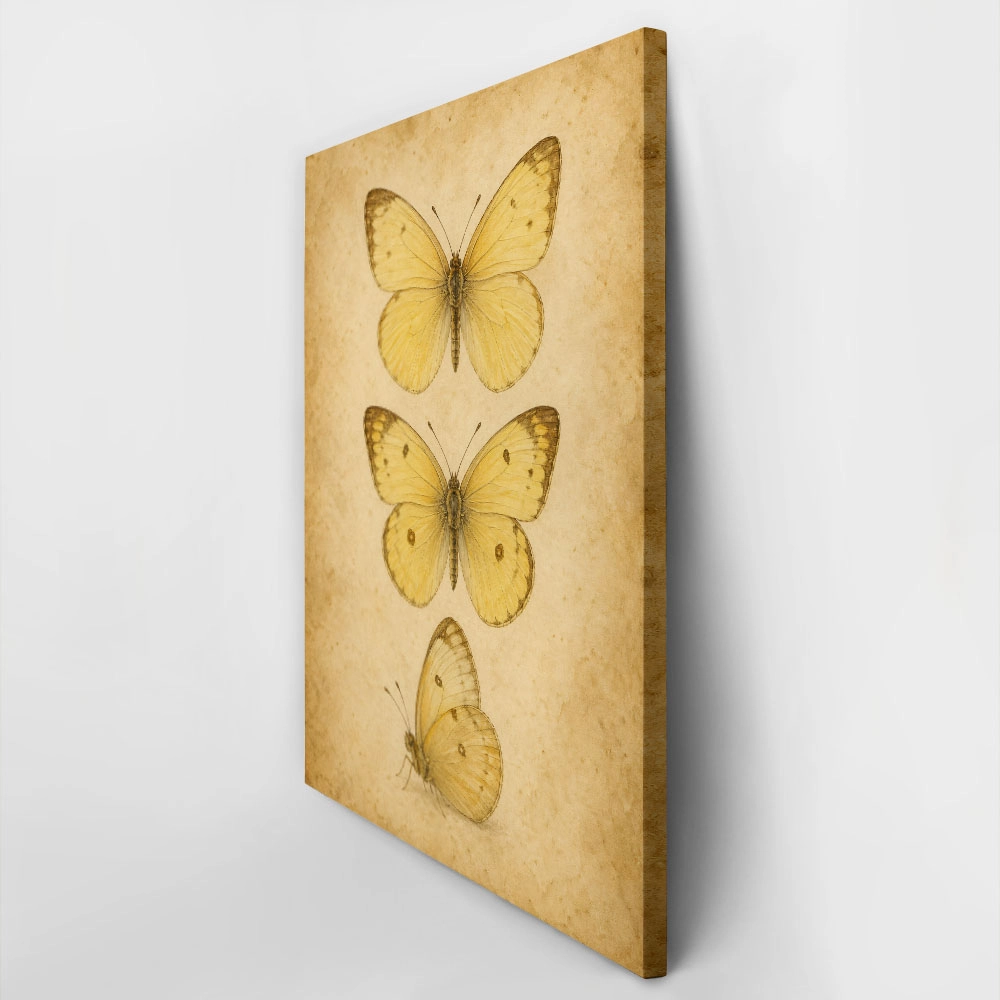 Πίνακας σε Καμβά VINTAGE DARK ACADEMIA BUTTERFLIES 5