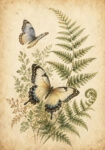 Πίνακας σε Καμβά VINTAGE DARK ACADEMIA BUTTERFLIES 6