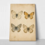 Πίνακας σε Καμβά VINTAGE DARK ACADEMIA BUTTERFLIES 7
