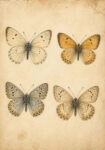 Πίνακας σε Καμβά VINTAGE DARK ACADEMIA BUTTERFLIES 7