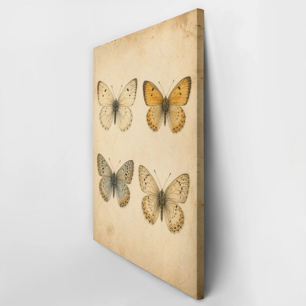 Πίνακας σε Καμβά VINTAGE DARK ACADEMIA BUTTERFLIES 7