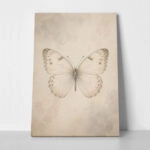 Πίνακας σε Καμβά VINTAGE DARK ACADEMIA BUTTERFLY 2