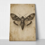Πίνακας σε Καμβά VINTAGE DARK ACADEMIA BUTTERFLY 3
