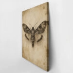 Πίνακας σε Καμβά VINTAGE DARK ACADEMIA BUTTERFLY 3
