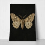 Πίνακας σε Καμβά VINTAGE DARK ACADEMIA BUTTERFLY 4