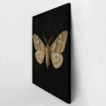 Πίνακας σε Καμβά VINTAGE DARK ACADEMIA BUTTERFLY 4