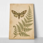 Πίνακας σε Καμβά VINTAGE DARK ACADEMIA BUTTERFLY AND FERN