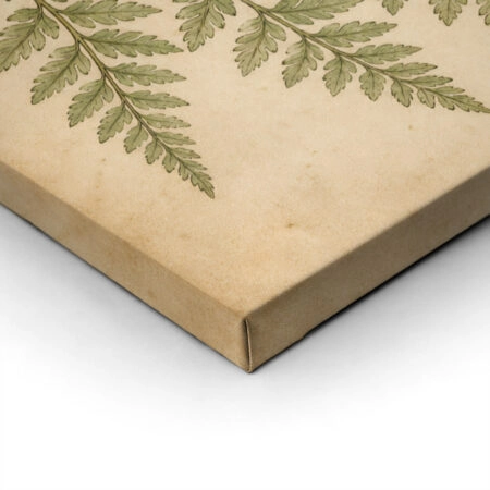 Πίνακας σε Καμβά VINTAGE DARK ACADEMIA BUTTERFLY AND FERN - Vintage Sticky 1
