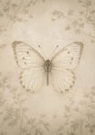 Πίνακας σε Καμβά VINTAGE DARK ACADEMIA BUTTERFLY