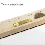 Πίνακας σε Καμβά VINTAGE DARK ACADEMIA FEATHERS