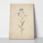 Πίνακας σε Καμβά VINTAGE DARK ACADEMIA FLOWERS 3