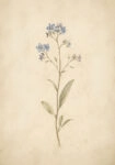 Πίνακας σε Καμβά VINTAGE DARK ACADEMIA FLOWERS 3