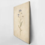 Πίνακας σε Καμβά VINTAGE DARK ACADEMIA FLOWERS 3