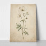 Πίνακας σε Καμβά VINTAGE DARK ACADEMIA FLOWERS 4