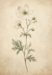 Πίνακας σε Καμβά VINTAGE DARK ACADEMIA FLOWERS 4
