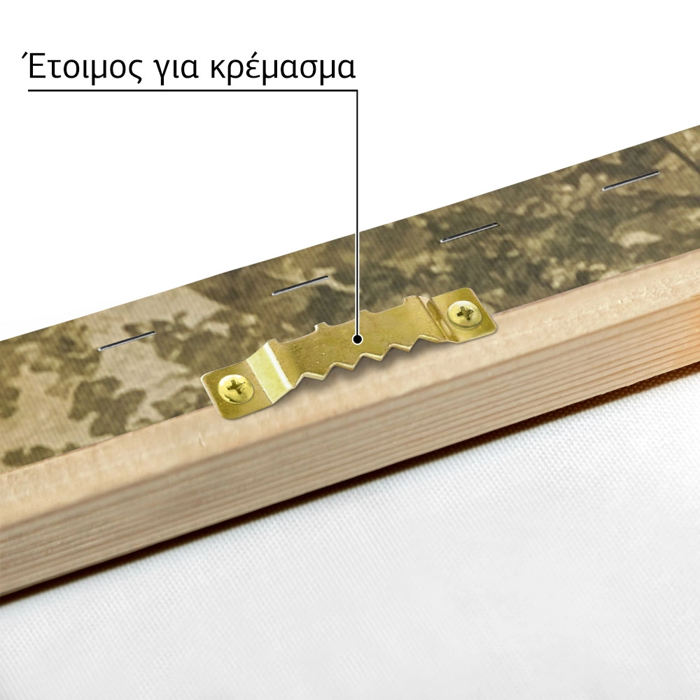 Πίνακας σε Καμβά VINTAGE DARK ACADEMIA FOREST PATH 2