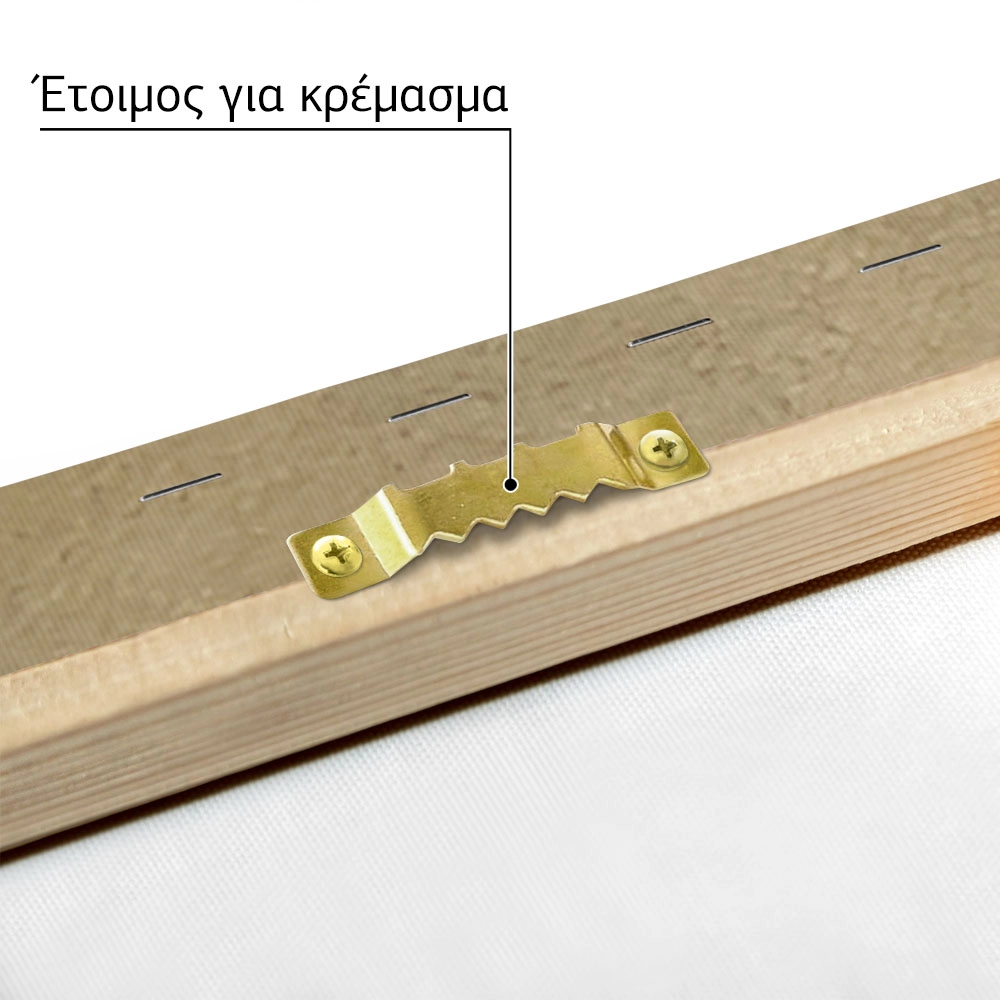 Πίνακας σε Καμβά VINTAGE DARK ACADEMIA FOREST PATH 3