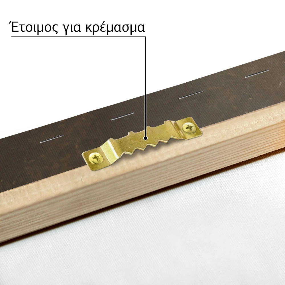 Πίνακας σε Καμβά VINTAGE DARK ACADEMIA FRUIT BOWL