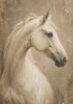 Πίνακας σε Καμβά VINTAGE DARK ACADEMIA HORSE 6