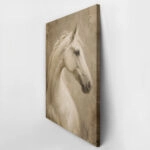 Πίνακας σε Καμβά VINTAGE DARK ACADEMIA HORSE 6