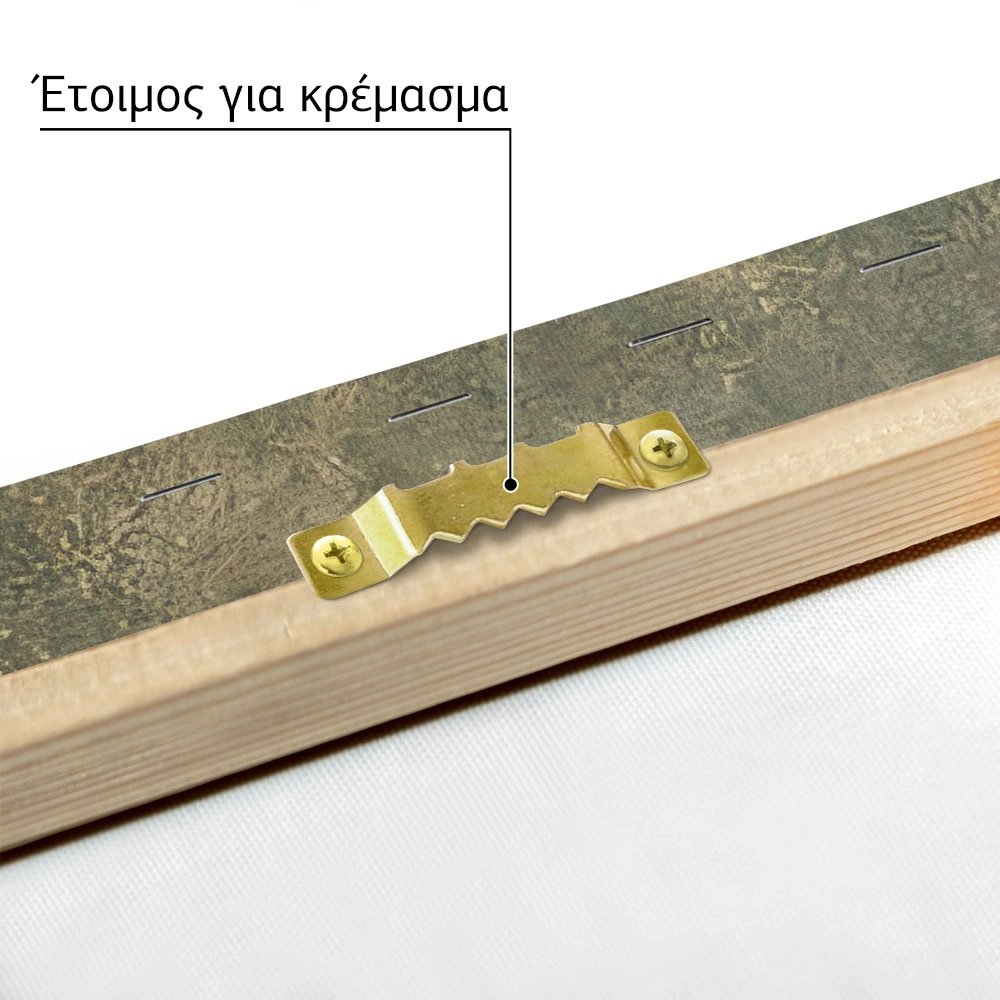 Πίνακας σε Καμβά VINTAGE DARK ACADEMIA HORSE 9