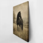Πίνακας σε Καμβά VINTAGE DARK ACADEMIA HORSE