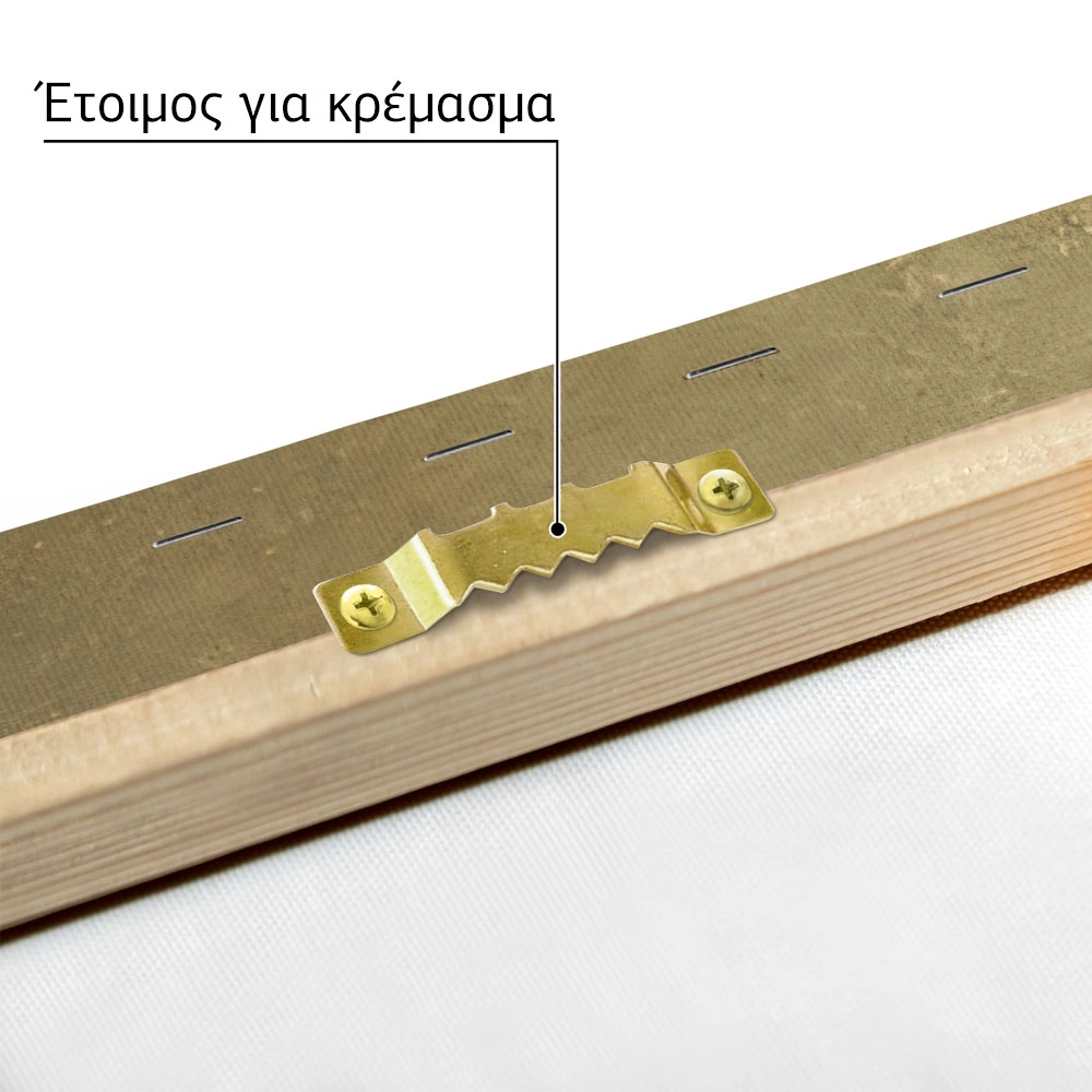 Πίνακας σε Καμβά VINTAGE DARK ACADEMIA LAKE PATH