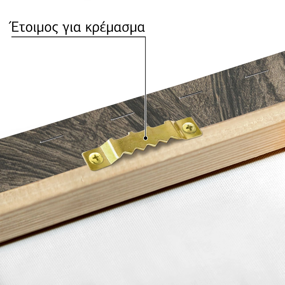 Πίνακας σε Καμβά VINTAGE DARK ACADEMIA LIBRARY 2