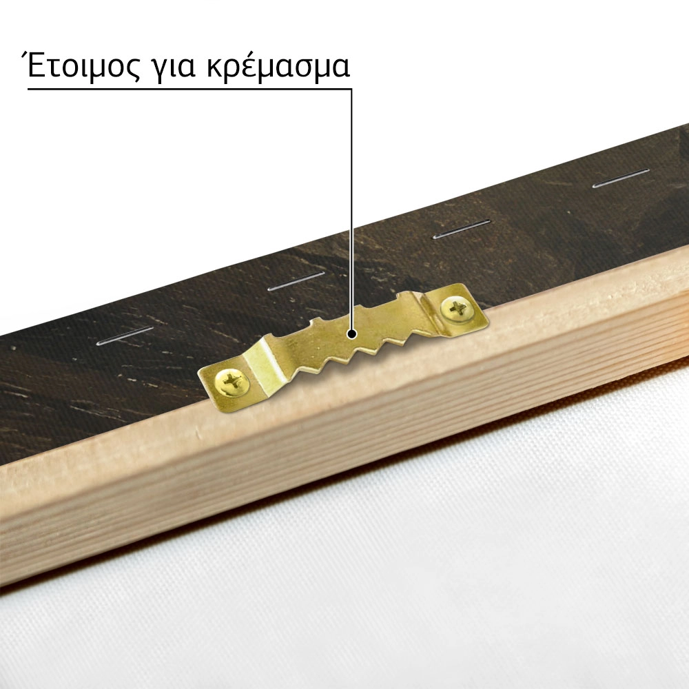 Πίνακας σε Καμβά VINTAGE DARK ACADEMIA LIBRARY