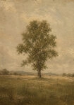 Πίνακας σε Καμβά VINTAGE DARK ACADEMIA LONE TREE 4