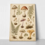 Πίνακας σε Καμβά VINTAGE DARK ACADEMIA MUSHROOMS