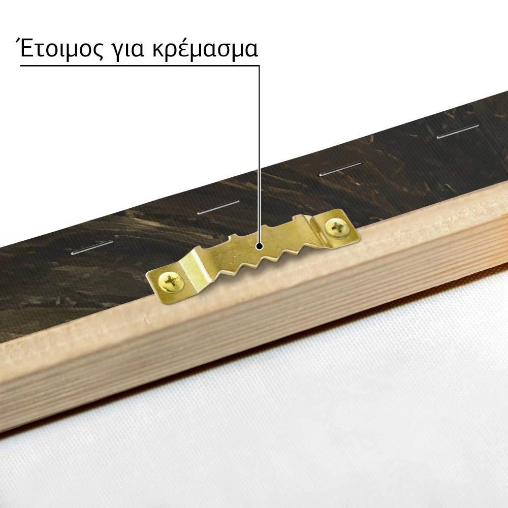 Πίνακας σε Καμβά VINTAGE DARK ACADEMIA OLD HALLWAY
